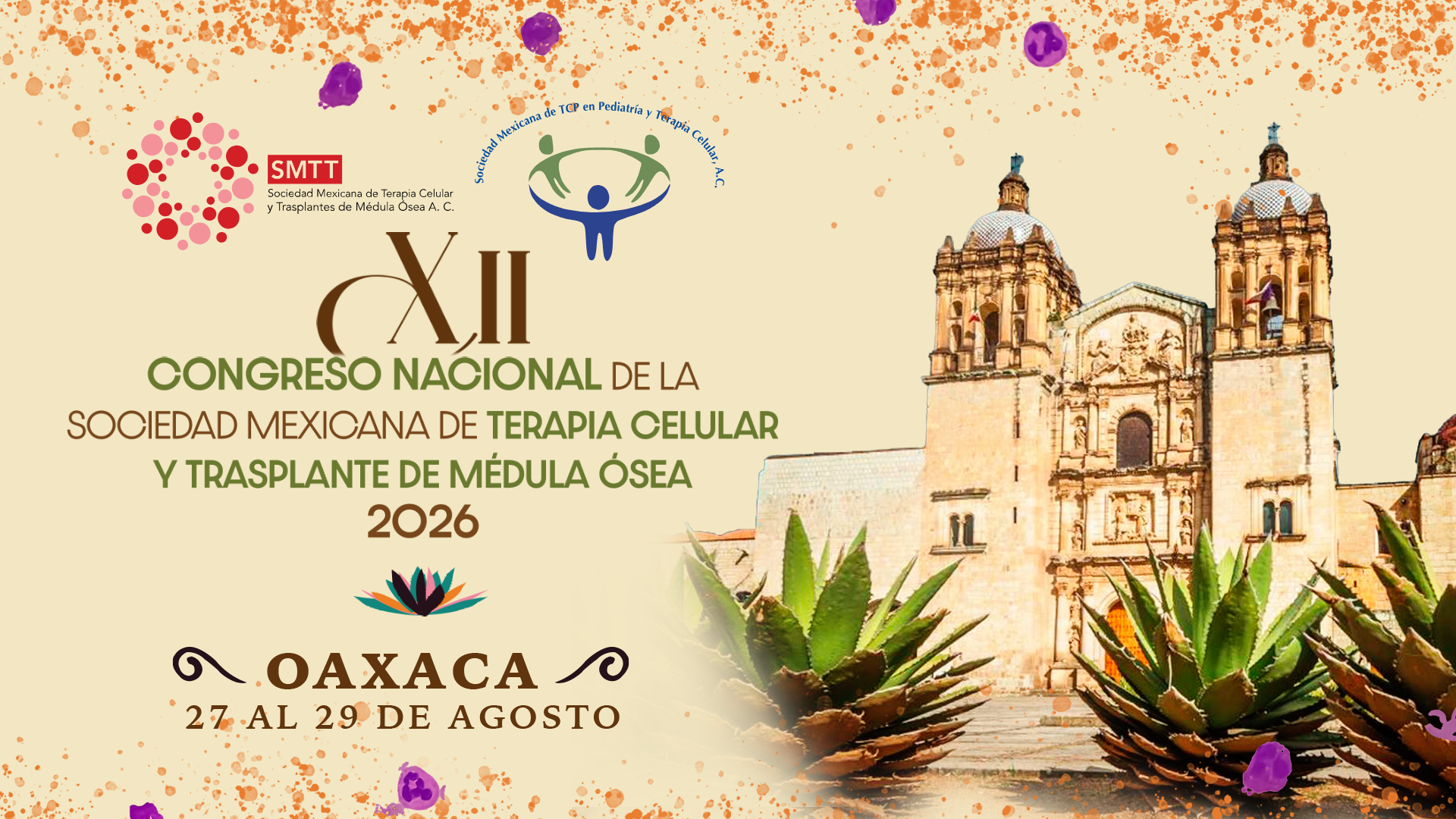 imagen-master-AMCG-2026